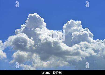 Cumulus-Wolken, Deutschland Stockfoto