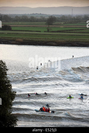 Surfer und Kanuten Reiten der Severn Bore am Newnham auf Severn, Gloucestershire UK 2014 Stockfoto