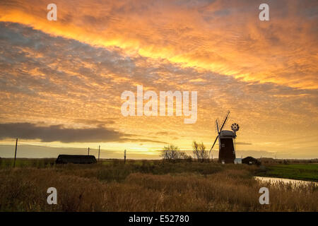 Sonnenaufgang über dem Schilf in Richtung Horsey Mühle auf den Norfolk Broads. Stockfoto