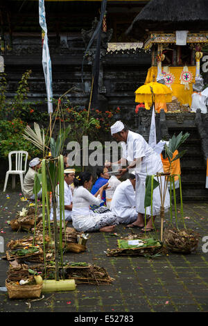 Jatiluwih, Bali, Indonesien.  Ein Priester besprengt Weihwasser auf Gläubige an der Luhur Bhujangga Waisnawa Hindu-Tempel. Stockfoto