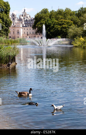 Blick auf den See in St James Park, mit Blick auf die Swire Brunnen und Horse Guards Parade, Central London. Stockfoto