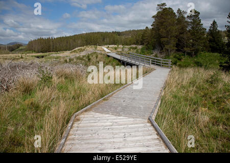 Vorstand Fuß über Feuchtgebiet Aline Gemeinschaft Wald Insel Harris Stockfoto