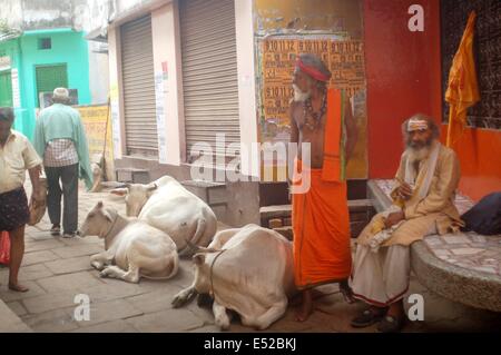 Kuh vor dem Tempel mit zwei heiliger Mann in der Nähe einen Hindu-Tempel im heiligen Monat Sawan in Varanasi. Sawan oder Shravan Monat gehört der heiligste Monat in traditionellen hinduistischen Kalender. (Foto: Somit Kumar Bardhan / Pacific Press) Stockfoto