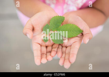 Ein Kind hält grüne Blätter in ihre Handflächen. Stockfoto