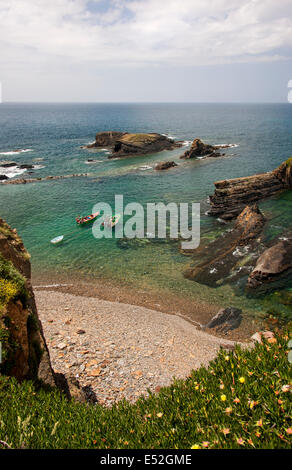 Blick von der Prachtnelke auf das felsige Ufer und Landzungen an der Atlantikküste. Stockfoto