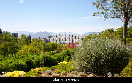 Generalife Palast Gärten, Alhambra, Granada, Spanien Stockfoto