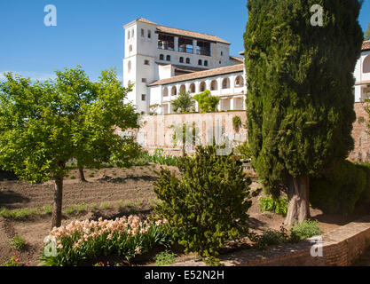 Generalife Palast Gärten, Alhambra, Granada, Spanien Stockfoto