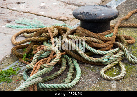 Seil am Hafen in Conwy, North Wales, UK Stockfoto