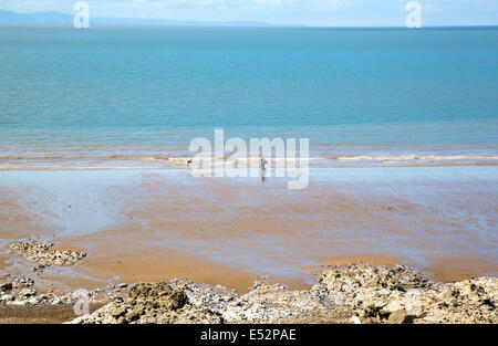 Ein paar und ein Hund am Strand von Dunraven Bay auf der Glamorgan Heritage Coast in Süd-Wales bei Ebbe Stockfoto