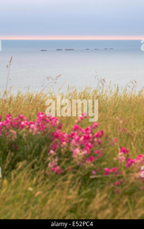 Blick auf die Reste der Mulberry Hafen am Strand von Arromanches Normandie Frankreich am frühen Morgen im Juli Stockfoto