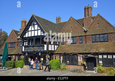 Ely, London Road, Blackwater, Hampshire, England, Vereinigtes Königreich Stockfoto