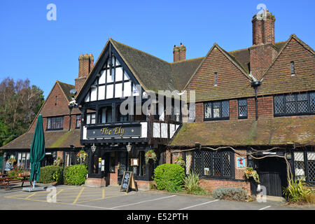 Ely, London Road, Blackwater, Hampshire, England, Vereinigtes Königreich Stockfoto