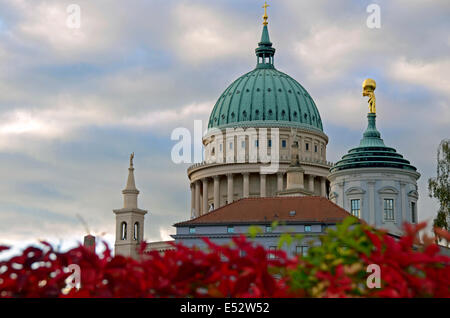 Dom zu St. Nicolai und Rathaus - "Alter Markt" Potsdam Brandenburg Deutschland Stockfoto