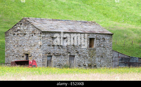 Ein traditioneller Stein Scheune und Wildblumen Wiese im oberen Swaledale, Yorkshire Dales National Park, North Yorkshire, England, UK Stockfoto