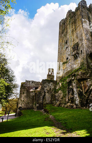 Irische Burg von Blarney, berühmt für den Stein der Beredsamkeit. Irland Stockfoto