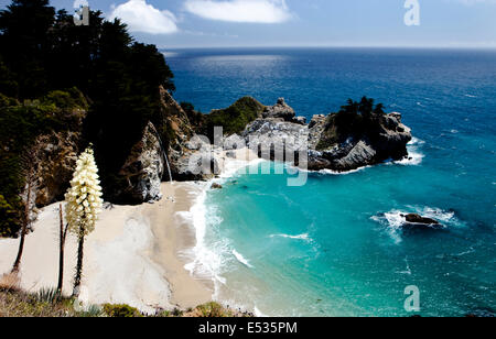 McWay Falls, Julia Pfeiffer Burns State Park, Big Sur, Kalifornien, USA Stockfoto