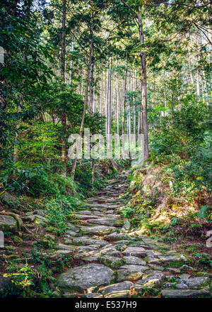 Kumano, Japan Matsumoto Pass. Der Pass ist Teil der Kumano Kodo, eine Reihe von alten Pilgerwege. Stockfoto