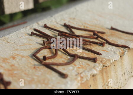 Rostige Nägel auf eine gefleckte Betonwand platziert Stockfoto