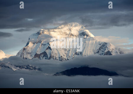 Nepal,, Dhaulagiri Berg im Morgengrauen vom Poon Hill Stockfoto