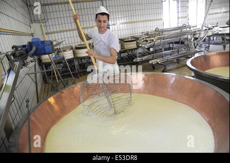 Trescore Cremasco (Cremona, Italien); Produktion von Grana Padano DOP italienischen typische Käse Stockfoto