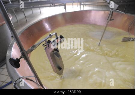 Trescore Cremasco (Cremona, Italien); Produktion von Grana Padano DOP italienischen typische Käse Stockfoto