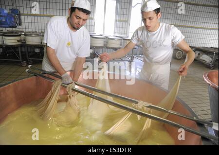 Trescore Cremasco (Cremona, Italien); Produktion von Grana Padano DOP italienischen typische Käse Stockfoto