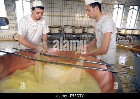 Trescore Cremasco (Cremona, Italien); Produktion von Grana Padano DOP italienischen typische Käse Stockfoto