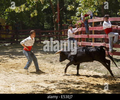 Grupo Forcados Amadores de Caldas Da Rainha. Portugiesische junge Toreros oder Bull fangen Stockfoto
