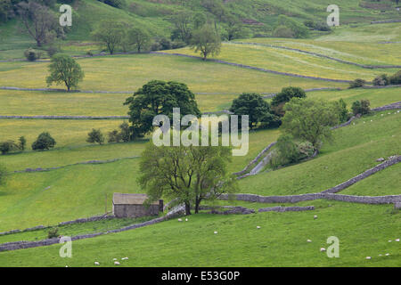 Schmale Landstraße windet sich durch die Yorkshire Dales, Malham, Malhamdale, Yorkshire Dales, UK Stockfoto