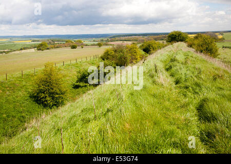 Graben und Bahndamm der Wansdyke sächsischen Verteidigungsbauwerk auf alle Cannings Kreide tiefen nahe Tan Hill, Wiltshire, England Stockfoto