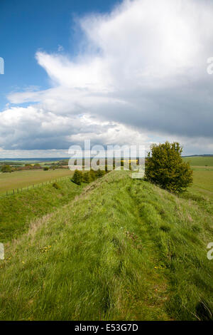 Graben und Bahndamm der Wansdyke sächsischen Verteidigungsbauwerk auf alle Cannings Kreide tiefen nahe Tan Hill, Wiltshire, England Stockfoto