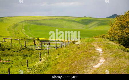 Graben und Bahndamm der Wansdyke sächsischen Verteidigungsbauwerk auf alle Cannings Kreide tiefen nahe Tan Hill, Wiltshire, England Stockfoto