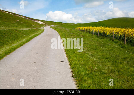 Kleine Gasse auf Kreide Downland Böschung Hang, Allington Down, Wiltshire, England Stockfoto