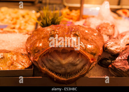 Seeteufel auf Fischhändler Zähler in der English Market in Cork City, Irland angezeigt. Stockfoto