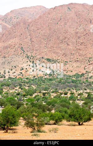 Tafraoute, berühmt für die Herstellung von Pantoffeln, Körbe, Kleidung, Schmuck Stände, umliegenden Berglandschaft, untere Atlasgebirge, Marokko Stockfoto