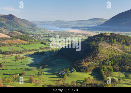 Blick Richtung Bassenthwaite Lake aus Catbells zeigt Teil der Newlands Valley, Lake District, Cumbria, UK Stockfoto