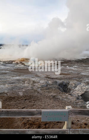 Clepsydra Geyser, Winter, Yellowstone NP, WY Stockfoto