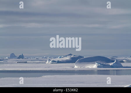 Eisberge und Eisschollen im Winter Wasser von der antarktischen Halbinsel Stockfoto