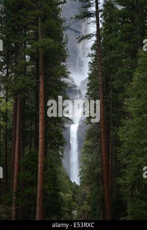 Blick auf hohen Wasserfall eingerahmt von üppigen grünen Kiefern. Stockfoto