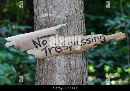 Keine Trespassing Schild hängen am Baum im Wald Stockfoto