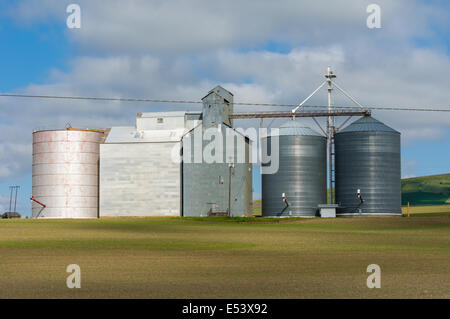 Gruppe von Korn Lagerhallen und Silos in einer ländlichen Gegend Stockfoto