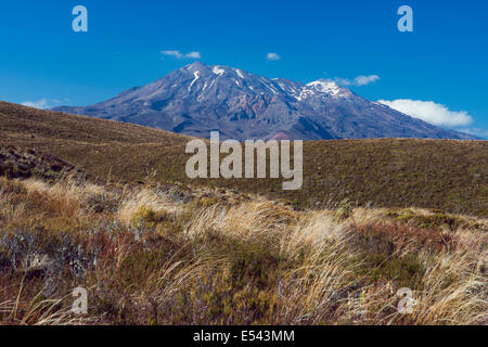 Mount Tongariro gesehen vom Parkeingang Stockfoto