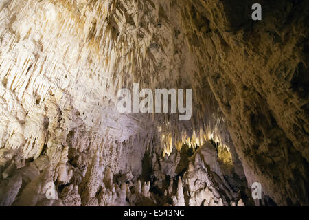 Stalaktiten in der Höhle Ruakuri Stockfoto