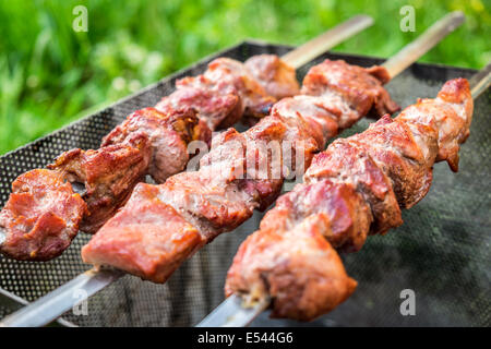Schaschlik auf Metall Spieße mit Picknick im freien Stockfoto