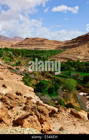 Dadkht Ait Omazia Dorf, in der Nähe von Ait Bennhaddou, grünen fruchtbaren Flusstälern, Landwirtschaft, Walnuss, Pfirsich Bäume in Blüte, Marokko Stockfoto