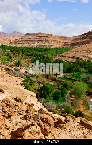 Dadkht Ait Omazia Dorf, in der Nähe von Ait Bennhaddou, grünen fruchtbaren Flusstälern, Landwirtschaft, Walnuss, Pfirsich Bäume in Blüte, Marokko Stockfoto