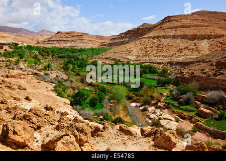 Dadkht Ait Omazia Dorf, in der Nähe von Ait Bennhaddou, grünen fruchtbaren Flusstälern, Landwirtschaft, Walnuss, Pfirsich Bäume in Blüte, Marokko Stockfoto