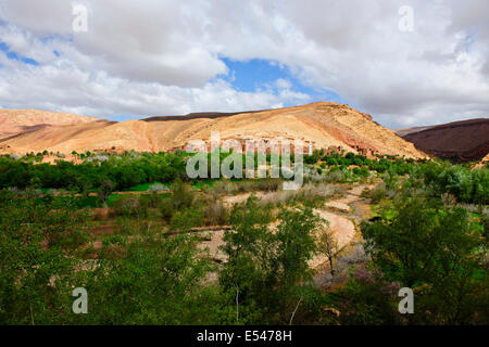 Ait dadkht omazia Dorf, in der Nähe von Ait bennhaddou, grüne fruchtbare Flusstäler, Landwirtschaft, Nussbaum, Pfirsichbäume blühen, Marokko Stockfoto