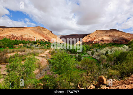 Dadkht Ait Omazia Dorf, in der Nähe von Ait Bennhaddou, grünen fruchtbaren Flusstälern, Landwirtschaft, Walnuss, Pfirsich Bäume in Blüte, Marokko Stockfoto