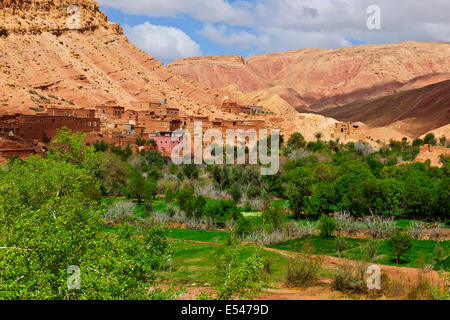 Dadkht Ait Omazia Dorf, in der Nähe von Ait Bennhaddou, grünen fruchtbaren Flusstälern, Landwirtschaft, Walnuss, Pfirsichbäume blühen, Taxe Stockfoto